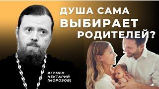 Душа ребенка сама выбирает себе родителей?