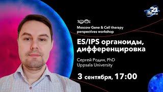 Московский воркшоп по перспективам генной и клеточной терапии - Сергей Родин