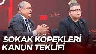 Muhalefet Neden Katliam Yasası Diyor?  Eşit Ağırlık