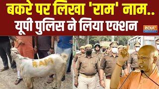 UP Bakrid Newsबकरीद को लेकर बनाई भड़काऊ रील..पुलिस ने कुछ ही घंटों में आरोपी को किया गिरफ्तार