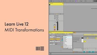 Learn Live 12 MIDI Transformations
