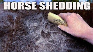 Relaxing And Satisfying Horse Shedding ASMR 2022