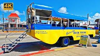 DUKW Duck Boat  Galveston Island Duck Tours Texas  Amphibious Hydra-Terra 4K