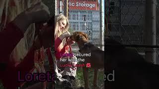 Starving scared dog by the freeway - full rescue video www.HopeForPaws.org
