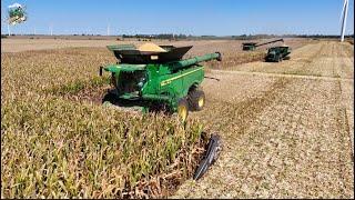 Crossroad Farms Corn Harvest 2024  John Deere X9 1100 Combines with 24 Row Corn Heads