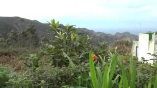 Hiking in Tenerife Punta del Hildago to Cruz del Carmen