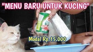 MEMBUAT MAKANAN KUCING MURAH MERIAH BIKIN KUCING LAHAP MAKAN SOLUSI KUCING KURUS