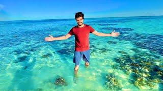 Inside the Great Barrier Reef of Australia