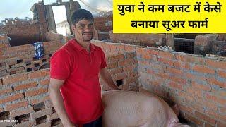 युवा ने कम बजट में कैसे तैयार किया अपना सूअर फार्म। How to start pig farm in India  #indianfarming