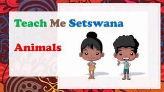 Teach Me Setswana    Animals