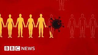 Coronavirus What is social distancing? - BBC News