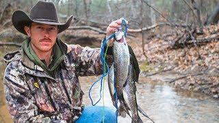 RIVER TROUT FISHING Primitive Catch & Cook