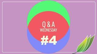 Q & A Wednesday #4