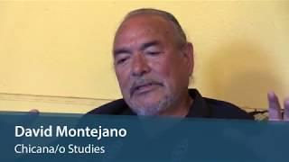 David Montejano on the Importance of Chicano Studies