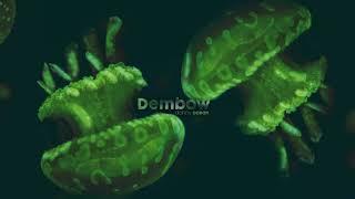 Danny Ocean - Dembow Official Audio