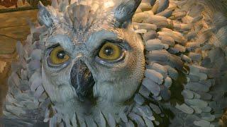 Baldurs Gate 3 Owlbear Cub Pet All Cutscenes