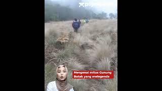 Misteri Gunung Butak Malang dan Siluman Penunggu Hutan Lumut