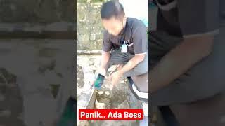 Ada Boss datang langsung panik