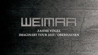 Weimar • Zahme Vögel Imaginary Tour 2023  Oberhausen
