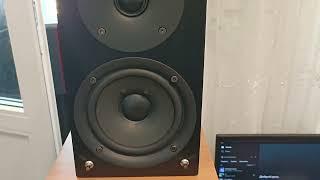 Pioneer s-hm76