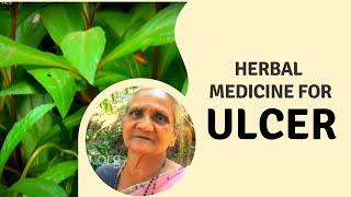 How to cure Ulcer and Hemorrhoids Naturally Herbal medicine for Ulcer and Piles  Home Remedies