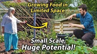 10 Tips to Maximise Food Production in a Small Vegetable Garden  Small Scale Veg Growing #1
