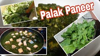 Palak Paneer recipe  How to make easy and healthy palak paneer  Indian cuisine  Desi Style