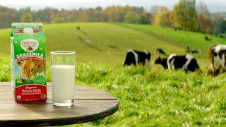 Milk made from Sun Soil Rain and Grass  Organic Valley Grassmilk