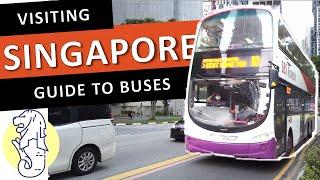How to Catch the Bus in Singapore  Visitors Guide