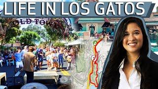 What is Living in Los Gatos Like?  Living in Los Gatos 2022