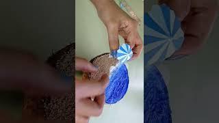 Super Mini Beach  coconut shell craft  Best out of waste 28-10-22 #shorts #youtubeshorts