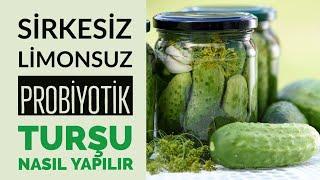 Probiyotik Turşu Nasıl Yapılır?  Sirkesiz Limonsuz Pratik Kıtır Turşu Tarifi