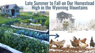 Late Summer to Fall Around Our Homestead High in the Wyoming Mountains  - Daily Life Ups & Downs