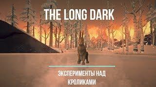 THE LONG DARK ЭКСПЕРИМЕНТЫ #5  КАПКАН И КРОЛИК