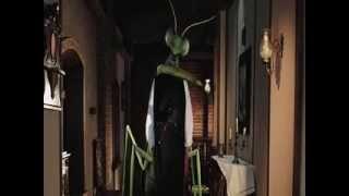 Dracula 3D - giant praying mantis