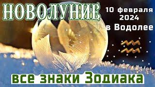 НОВОЛУНИЕ 10 ФЕВРАЛЯ В ВОДОЛЕЕЧТО ПРИНЕСЁТ  ВСЕМ ЗНАКАМ ЗОДИАКА