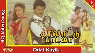 Odai Kuyil Video Song Thalattu Padava Tamil Movie Songs  Parthiban  Rupini  Pyramid Music