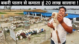 इंजिनियर लड़के ने अपने गांव में बनाई बकरी फैक्ट्री  Goat Farming  Bakri Farm Tour