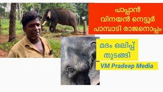 Pampady Rajan ഒപ്പം വിനയൻ നെട്ടൂർ#keralaelephant#Nattanakatha#vmpradeepmedia