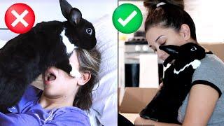 PROS & CONS Of Having a Rabbit