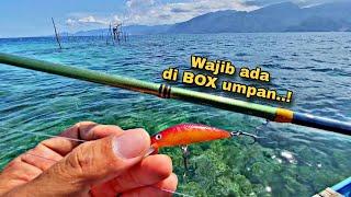 Andalan Umpan Minnow untuk Mancing Casting di Karang Dangkal  Ultralight Casting