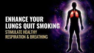 Enhance Your Lungs Quit Smoking  Get Rid of Tars  Stimulate Healthy Respiration and Breathing