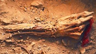 Penemuan Mengerikan Ini Membuat Para Arkeolog Ketakutan  Fakta Menarik