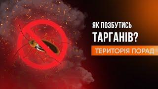 «Територія порад» Як позбутись тарганів?