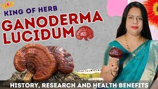Benefits of Ganoderma Lucidum   Reishi Mushroom ke Fayde  History  Research  Work