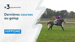 Hippisme  dernières courses et bilan de fin de saison