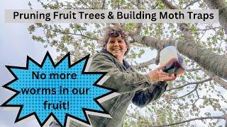 Preventing Wormy Fruit Pruning Fruit Trees