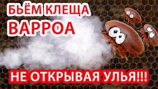 ПРОСТЕЙШАЯ И ЭФФЕКТИВНАЯ ОБРАБОТКА ОТ КЛЕЩА ВАРРОА НЕ ОТКРЫВАЯ УЛЬЯ