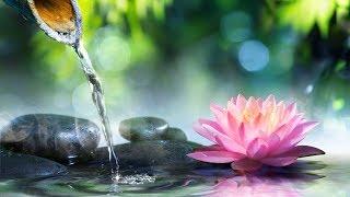 Relaxing Background Music for Meditation. Calming Music for Stress Relief Yoga Spa Massage