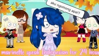 Marinette speak Indonesian for 24 hour1?MLBgacha club